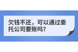 遂溪为什么选择专业追讨公司来处理您的债务纠纷？